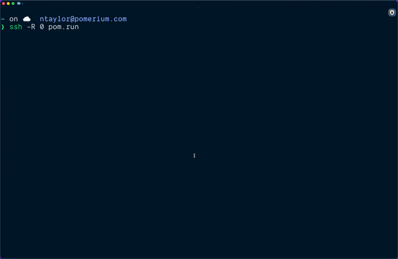 Opening an SSH tunnel with pom.run